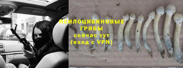 apvp Лихославль
